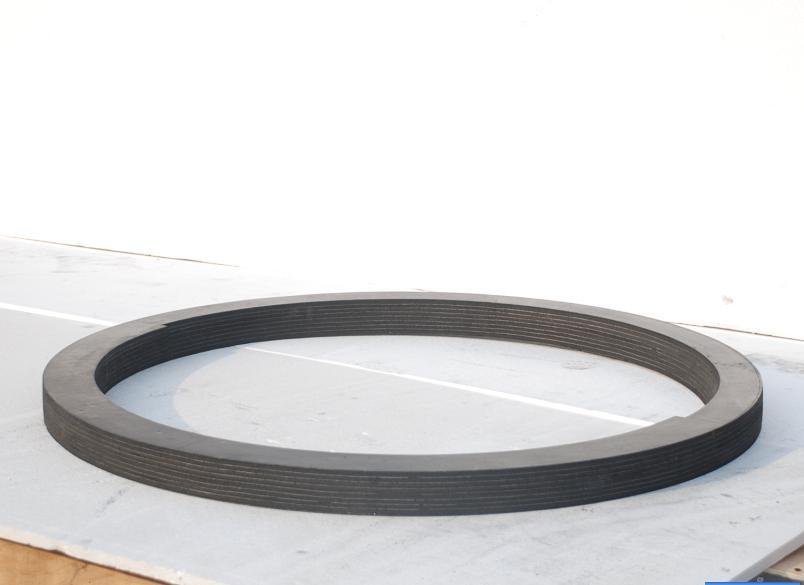 Graphite Sealing Ring