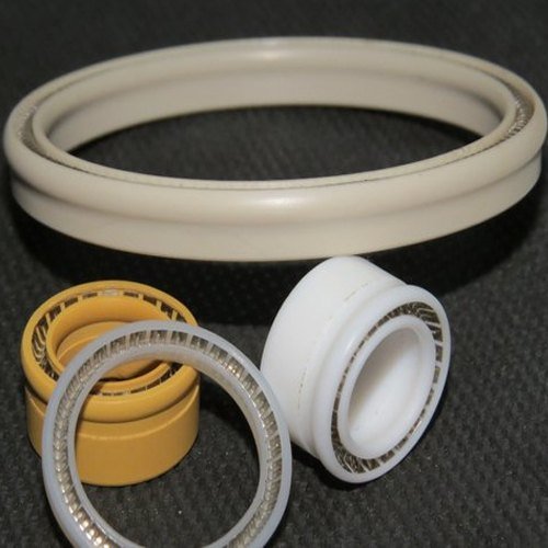 Spring Energized PTFE Piston Seals