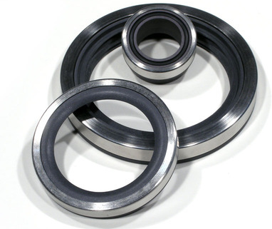 PTFE Oil Seal, Size: 100/90/6 Mm