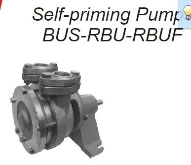 JOHNSON Cl Bronze and SS 316 spx rbu side channel pump