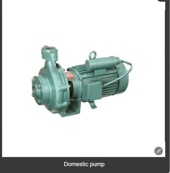 GBD Enterpise Electric Domestic Pump