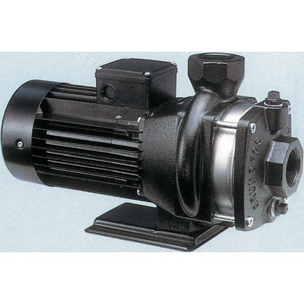 Grundfos 1 hp Stainless Steel CM Pump