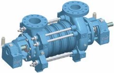 Ring Section High Pressure Multistag Pumps