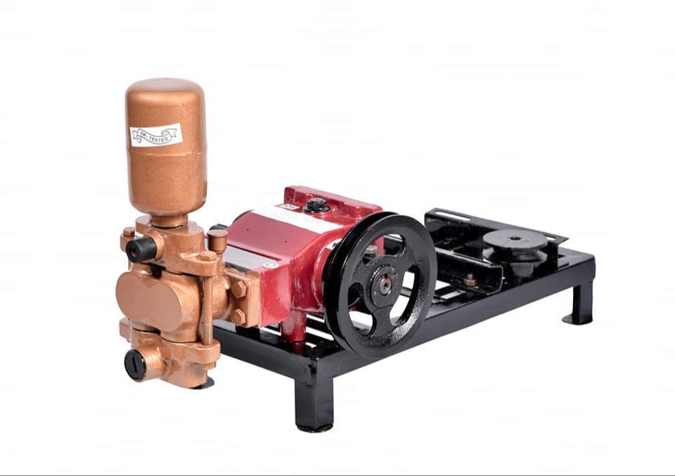 Duplex Plunger Pump, Model: RSP-2