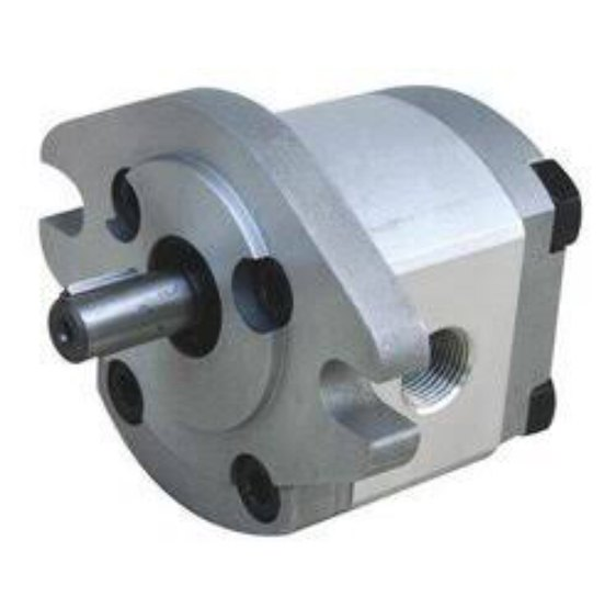 metro 3 Rotary Gear Pump, 20, 100