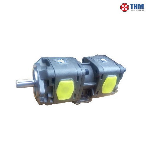 Double Internal Gear Pump