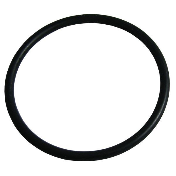 Pump O Ring