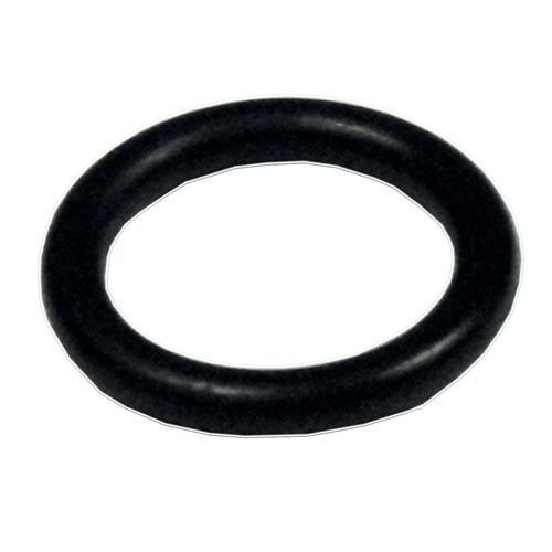 Pump O Ring