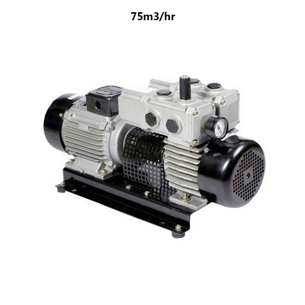 PPI Single Stage Rotary Vane Vacuum Pump, For Industrial, Max Flow Rate: 75 M3/Hr