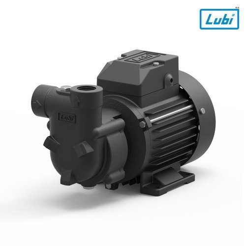 Lubi Monoblock Pump, 22 kW