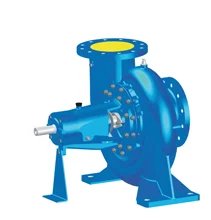 DBL Long Coupled Pump