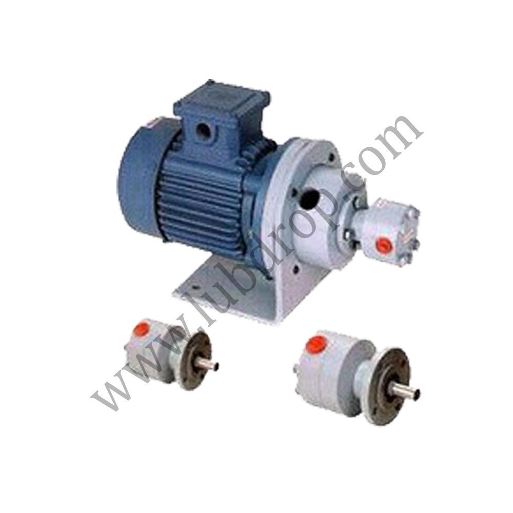 Lubrication Motor Pump Assembly