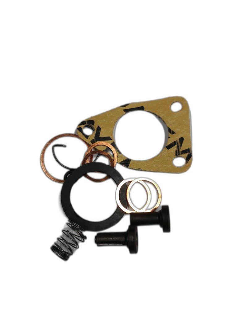 Petrol Fuel Pump Service Kit, For Automobile Industry